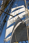 Picton Castle under sail