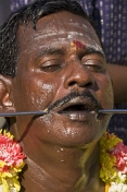 Thaipusam pilgrim with skewer through his cheek