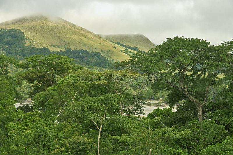 Forest and mountain tops with cloud cover in Lope National Park.