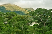 Forest and mountain tops with cloud cover in Lope National Park.