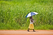 Young girl with blue and white umbrella carries small baby past high grasses.
