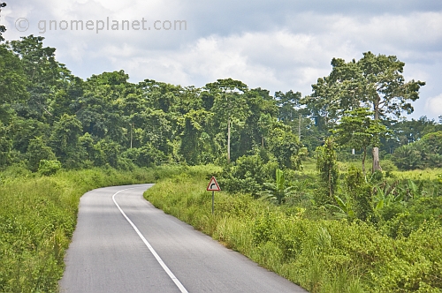 A stretch of modern tarmacadam road snakes through the thickly forested jungle.