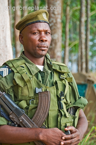 An Angolan soldier with assault rifle in eucalyptus plantation.