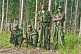 Image of A squad of Angolan soldiers with assault rifles in eucalyptus plantation.