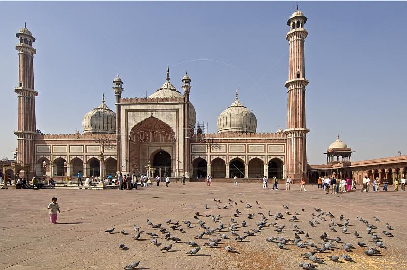 A small child watches the pigeons at the Jama Masjid mosque built by Shah Jahan in 1644.