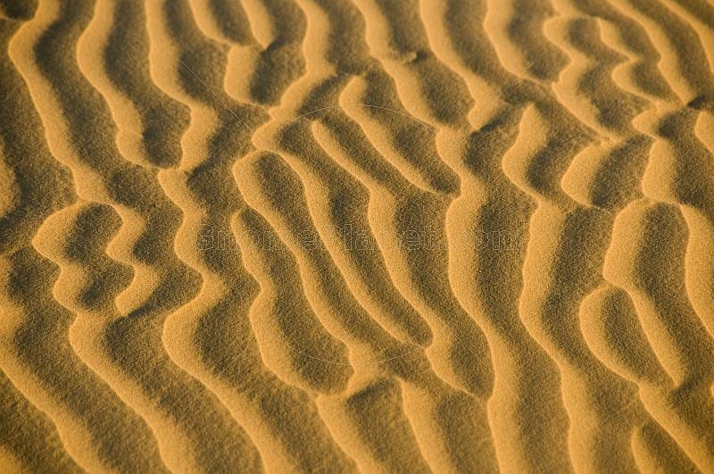 Wind-blown ridges in the sand dunes.