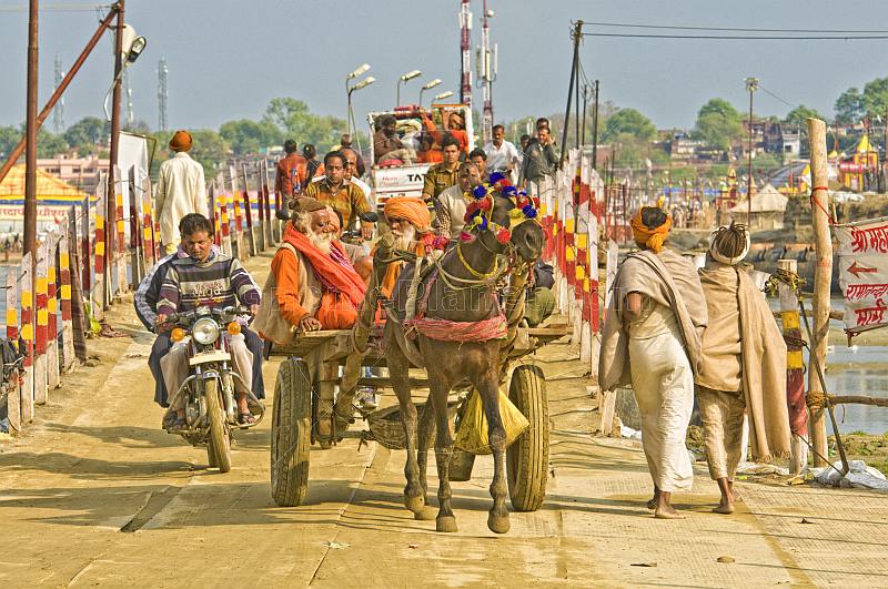 Horse and cart with Hindu Mela pilgrims cross Ganges River pontoon bridge.