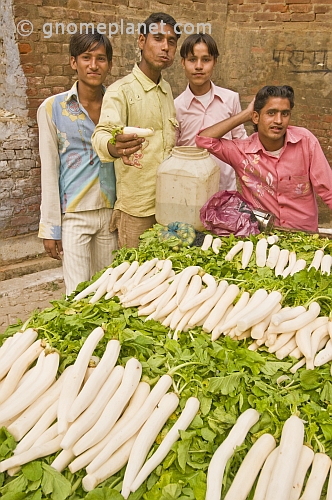 Mooli (radish) sellers in back-streets near the Yamuna River.