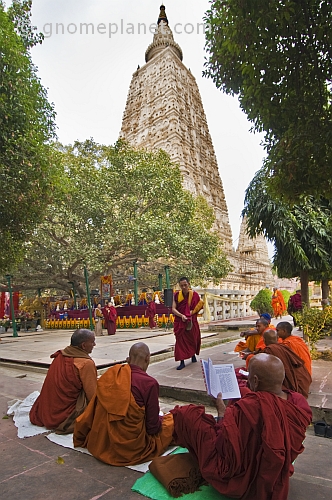Buddhist monks wait for services to begin next to the Mahabodhi Temple.