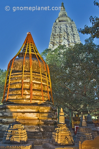 Twilight view of small stupas and the Bo tree of Enlightenment in front of the main Mahabodhi Temple.