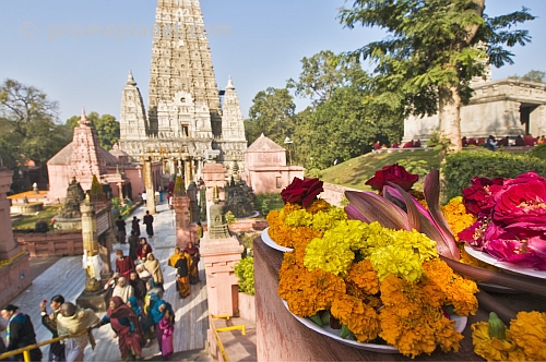 Floral tributes to the Buddha left by pilgrims visiting the Mahabodhi Temple.