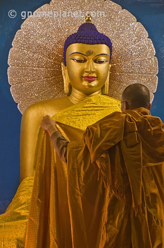 A monk drapes a new robe on the Buddha statue in the Mahabodi Temple.