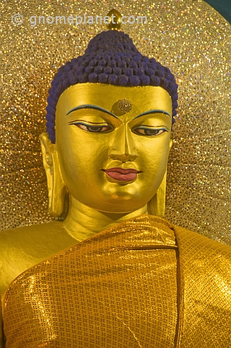 Jewelled Buddha statue in the Mahabodi Temple.