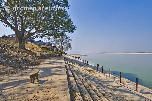 A monkey walks along deserted bathing ghats on the Saryu River.