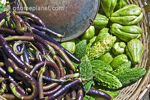 A vegetable-sellers basket of purple eggplants and green bitter-gourds.