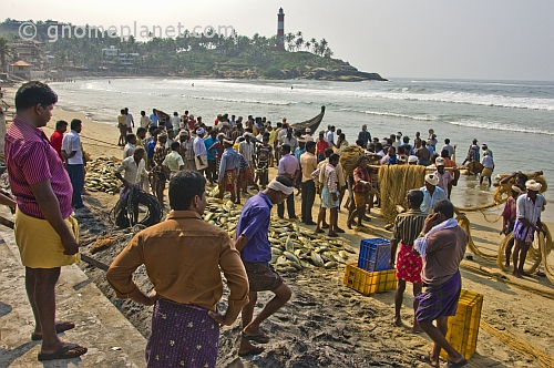 Spectators watch a busy crowd of fishermen collecting their catch and putting away their nets.
