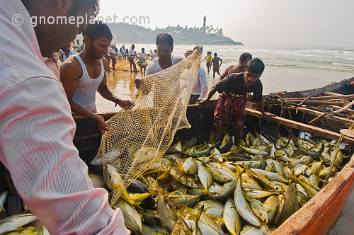 Fishermen use their boat as a temporary store for their fish.