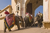 Elephants enter the Suraj Pol, the main entrance to the Amber Fort and the Amber Palace.