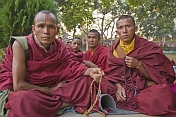 Buddhist monks gather for a puja at the Mahabodhi Temple.