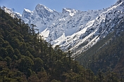 Snow-covered mountains and forested slopes on the road to Kalep.