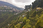 The houses of Ghoom cling precariously to the steep, forested hillsides.