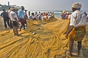 Fishermen pull their nets up on to the beach.
