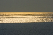 Fishing boat on a gold and silver sea.