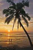caption: A young couple walk along the beach at sunset, framed by a coconut palm tree.