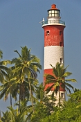 Vizhinjam Lighthouse and coconut palm trees against a deep tropical blue sky.