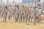 Naked Naga Holy Men walk in procession from Ganges river ritual bathing ceremony.