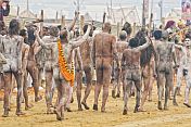 Ash-smeared Naga Holy Men return from Ganges river Sangam ritual bathing ceremony.