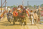 Horse And Cart With Pilgrims Cross Ganges River Pontoon Bridge