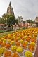 Image of Yellow and orange flowers laid out before the Mahabodhi Temple.