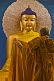Image of A monk drapes a new robe on the Buddha statue in the Mahabodi Temple.