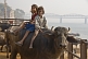 Image of Indian girl and boy riding a buffalo, on the banks of the Ganga River.