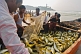 Image of Fishermen use their boat as a temporary store for their fish.
