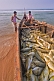 Image of Two fishermen with their boat full of fish.