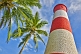 Image of Red and white bands of Vizhinjam Lighthouse tower, with coconut palm.