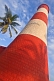 Red and white bands of Vizhinjam Lighthouse tower, with coconut palm.