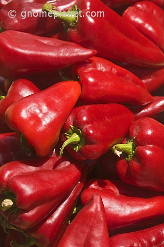 Sweet red peppers or capsicums.
