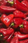Sweet red peppers or capsicums.