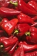 Image of Sweet red peppers or capsicums.