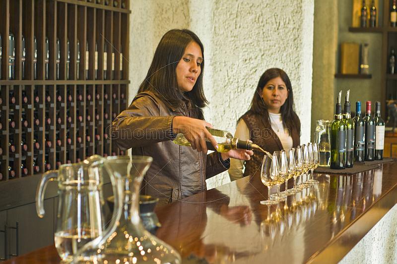 Wine tasting at the Bodega El Transito winery.