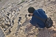 Image of Photographing penguins at the Penguin Colony on the Bahia Camarones.