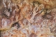 Image of Ancient hand-prints on the cliffs and valley at the Cueva De Las Manos.