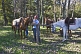 Image of Riding instructor with horses in forest at the Estancia Los Potreros.