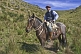 Image of Gaucho horseman rides a brown horse at the Estancia Los Potreros.