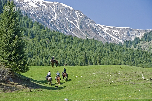 Four Kyrgyz horsemen in the Sarycat Ertas Nature Reserve.