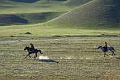 Two Kyrgyz horsemen riding at a canter over sparse grassland.