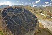 A range of Bronze-age and Saka-Usun period petroglyphs, including this Long Horned Ibex, in the Boulder Valley near Cholpon-Ata.
